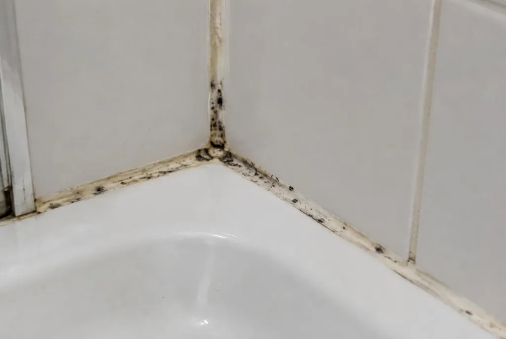 Kitbedrijf Nijverdal – beschimmelde kitranden